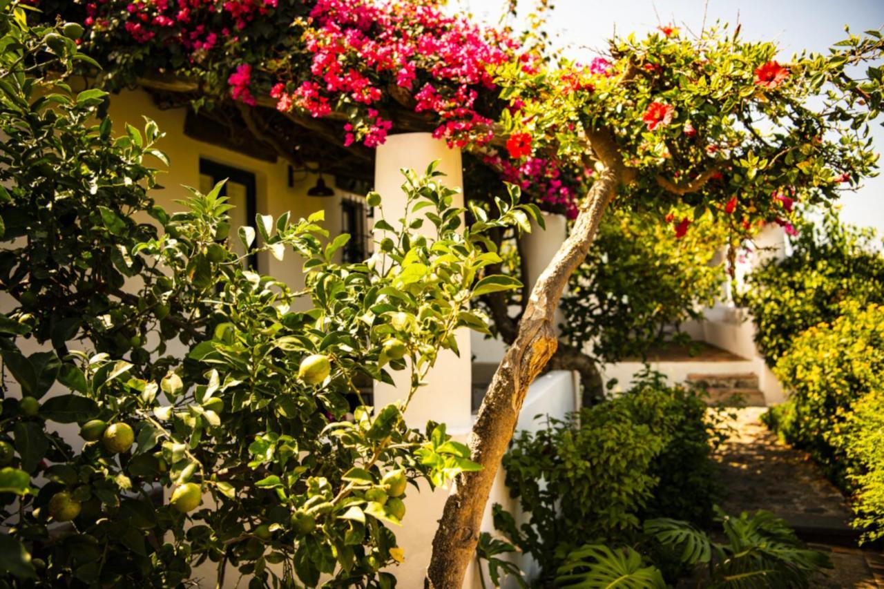 Hotel Signum Malfa  Exterior photo